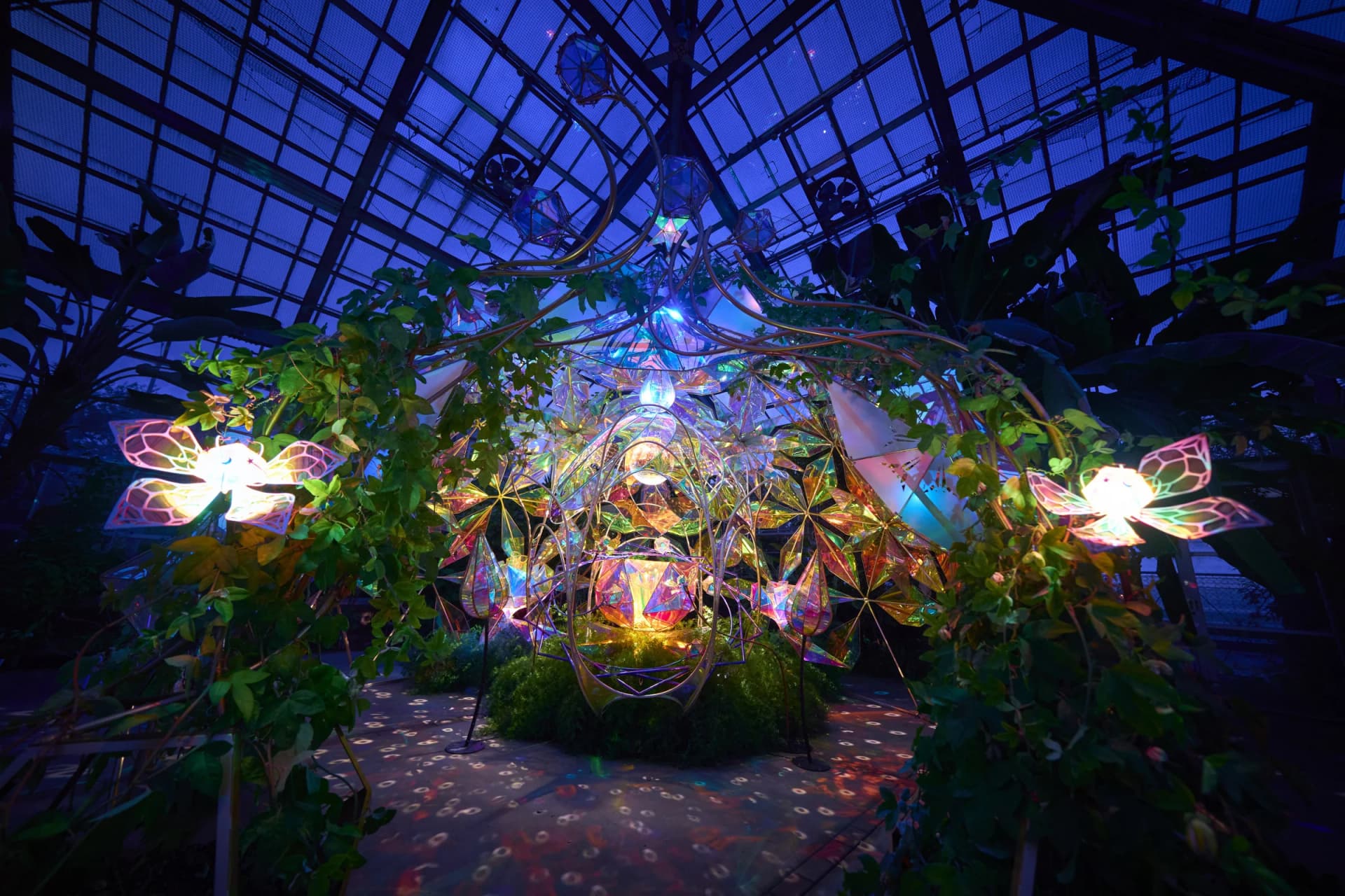 The installation lit at night, Keisei Rose Garden
