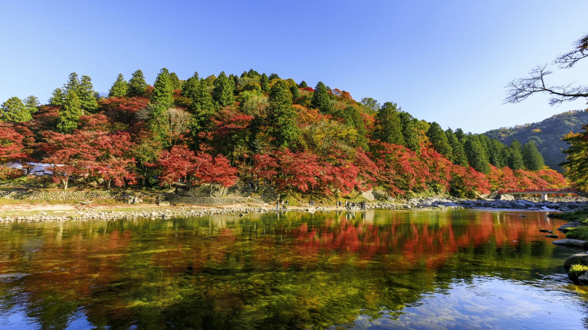 Autumn colour along the Tomoe River, Korankei, Toyota, Aichi