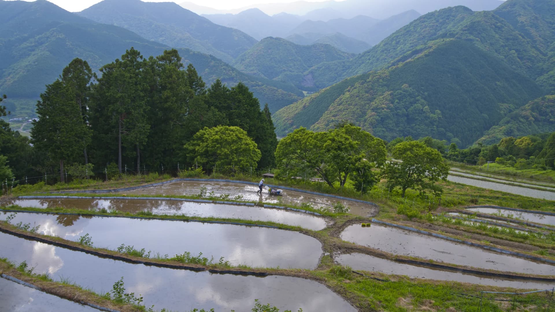 Terraced rice paddies reflect the mountains at Takahara along the Kumano Kodo Nakahechi, Wakayama
