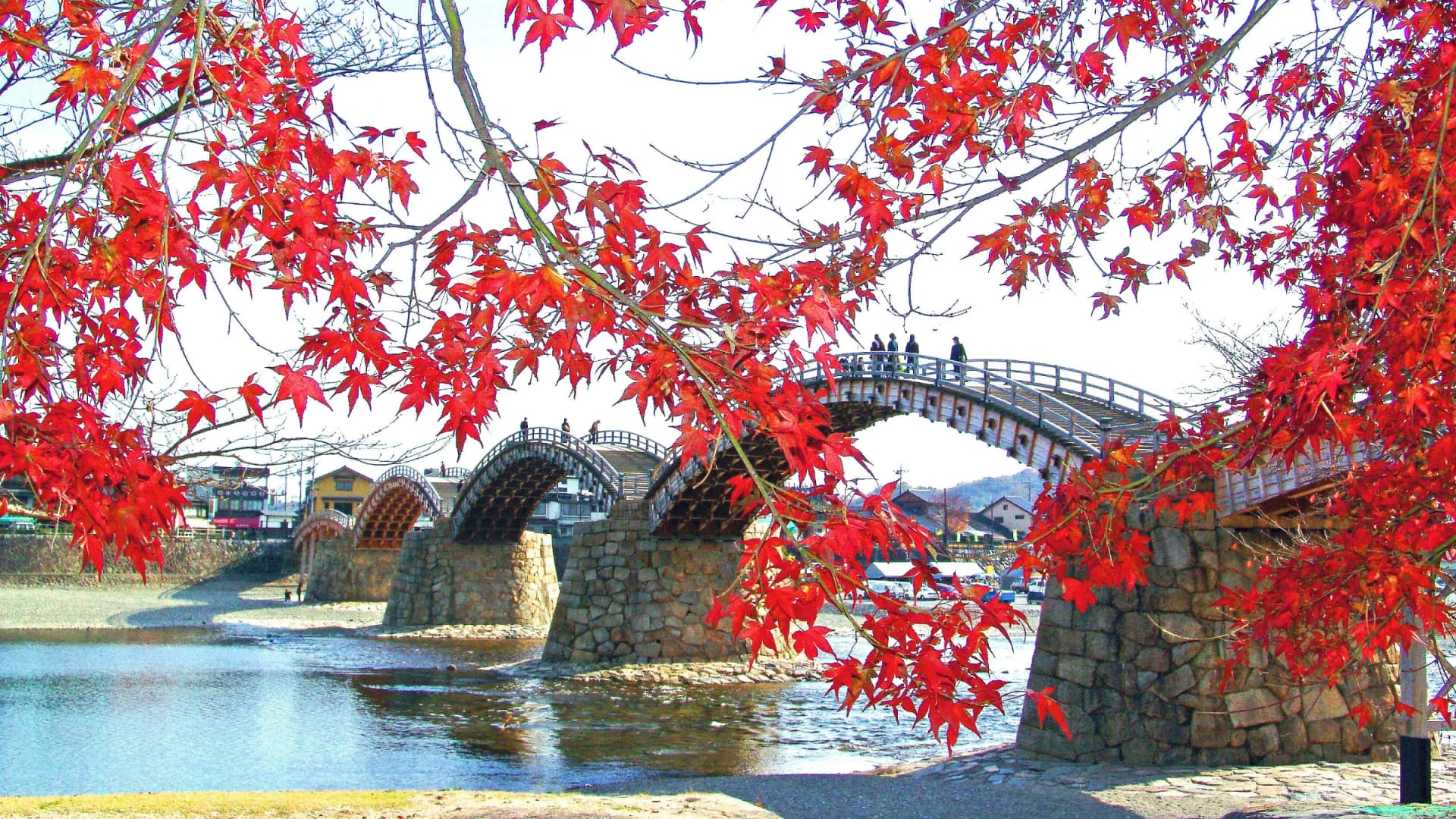 Autumn maples frame the arched wooden spans of Kintaikyo Bridge, Yamaguchi