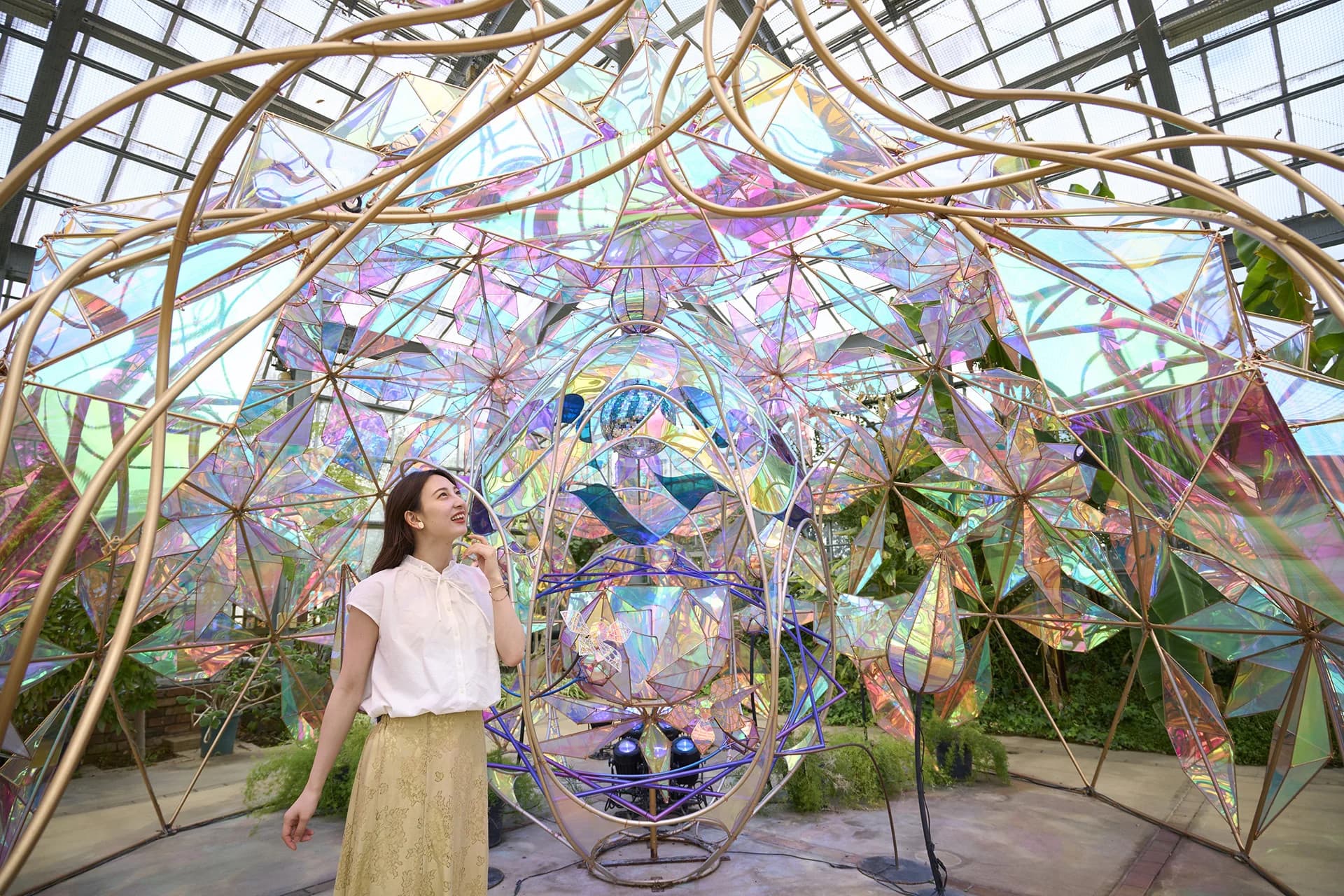 The light and rose installation, Keisei Rose Garden