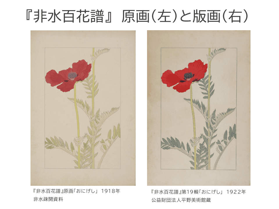Two pictures of a red poppy side by side, an original drawing on the left and the finished woodblock print on the right