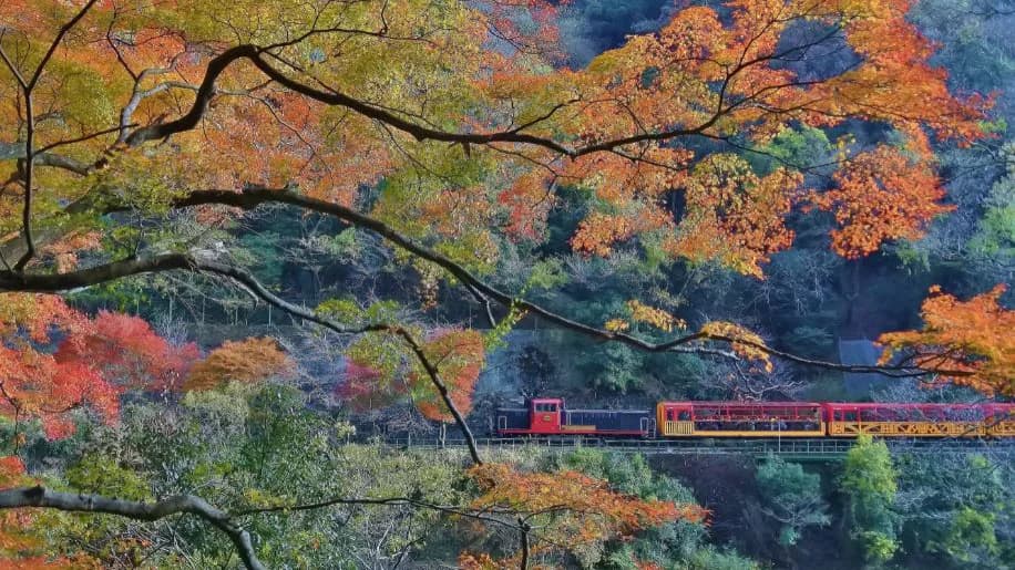 Scenery of the Sagano Romantic Train, Kyoto Prefecture