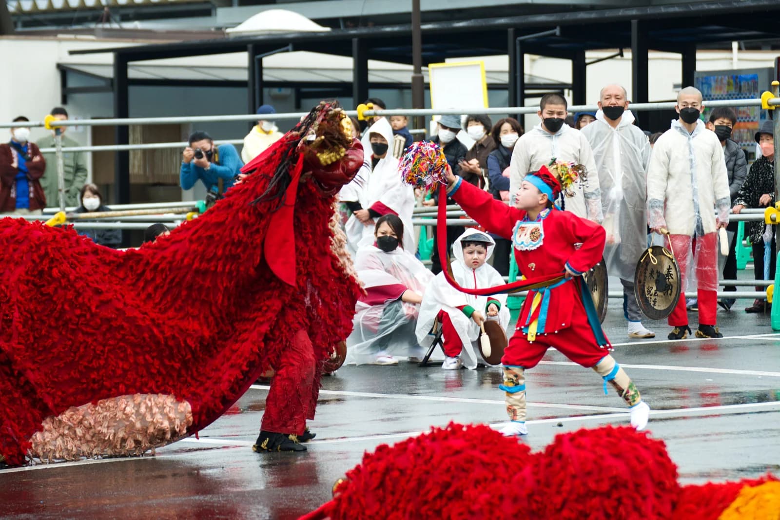 The lion dance