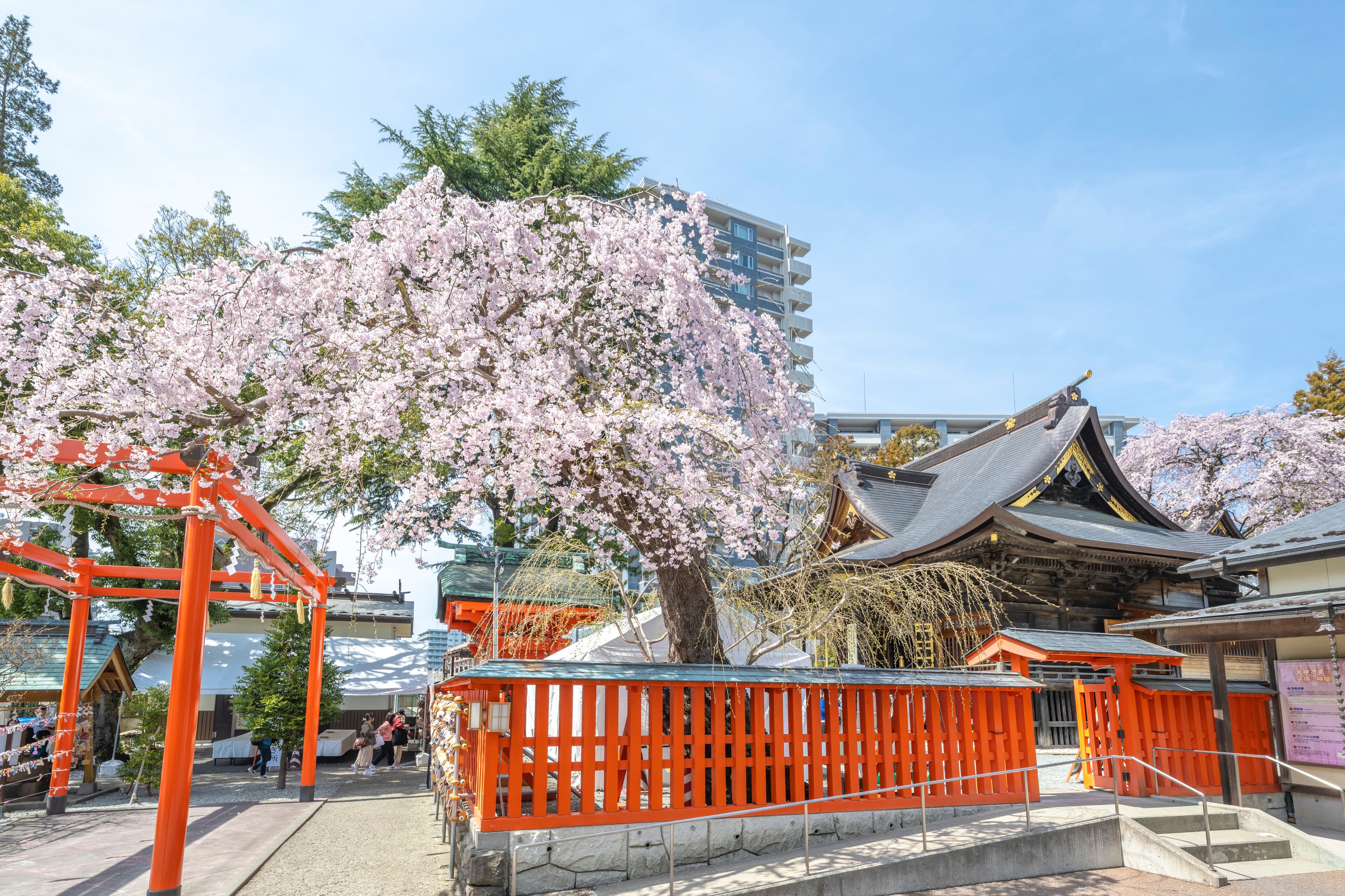 Tsutsujigaoka Tenmangu Shrine