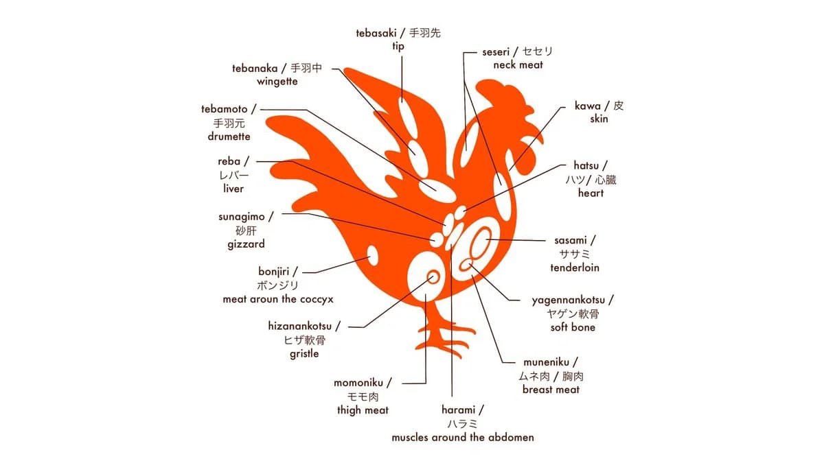 Yakitori Parts – Illustrated Explanation