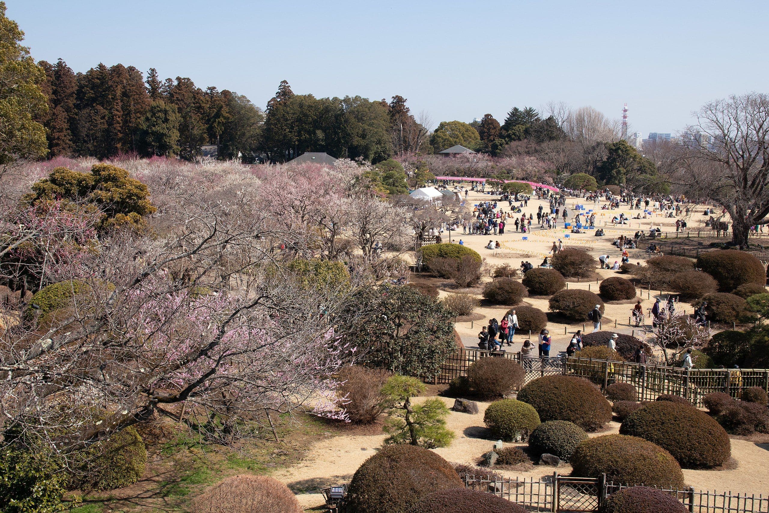 Kairaku-en Garden in Mito
