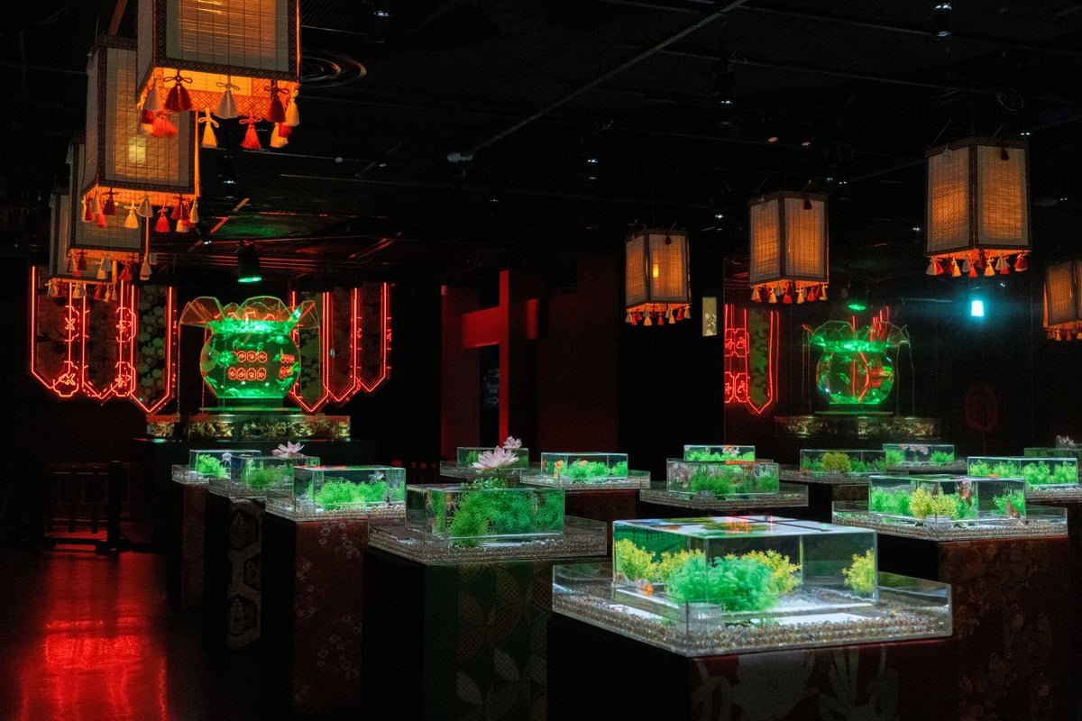 Goldfish tanks illuminated beneath hanging traditional Japanese lanterns.