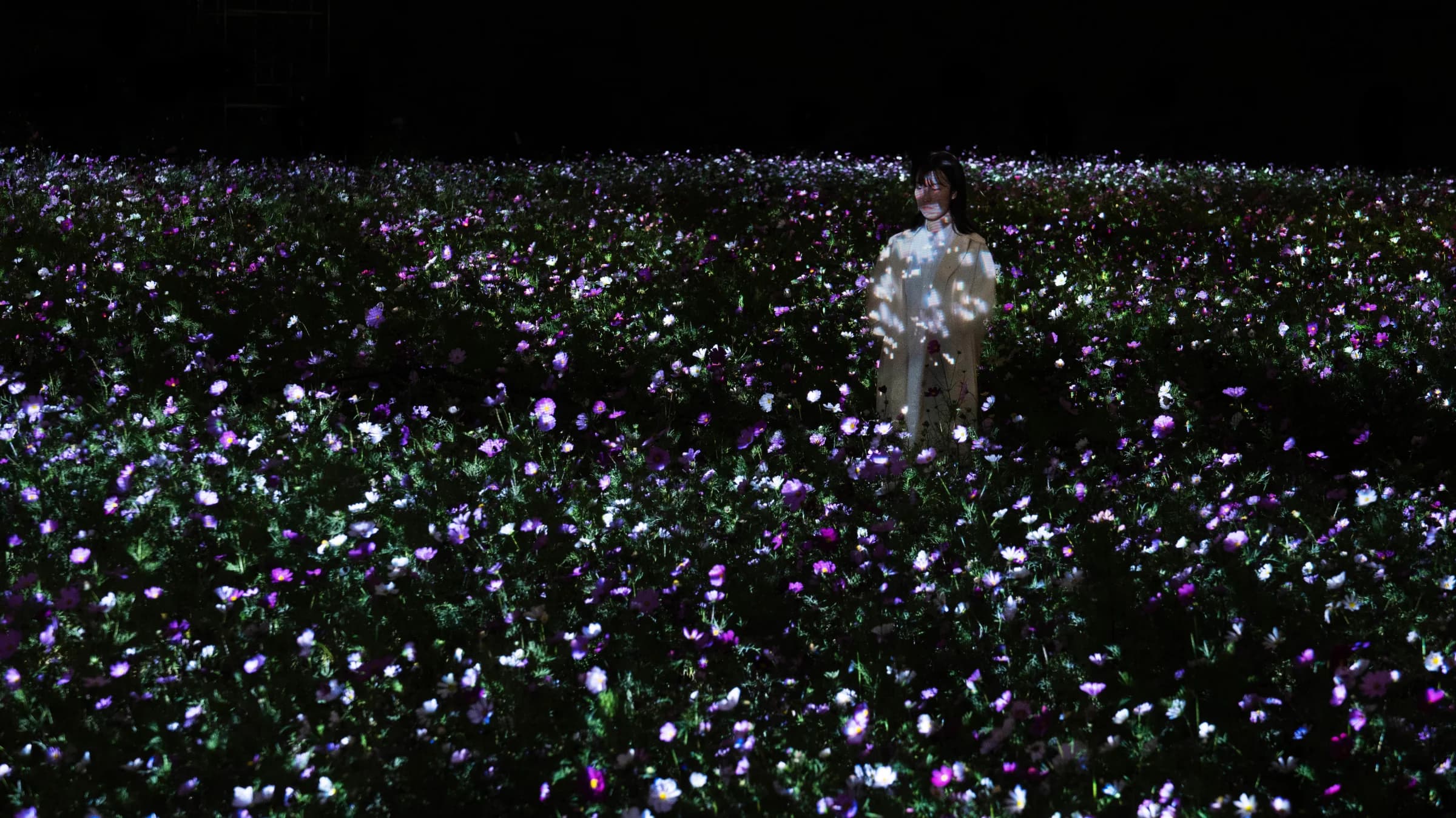 Interactive installation Life is Flickering Light Floating in the Dark – Cosmos by teamLab at teamLab Botanical Garden Osaka
