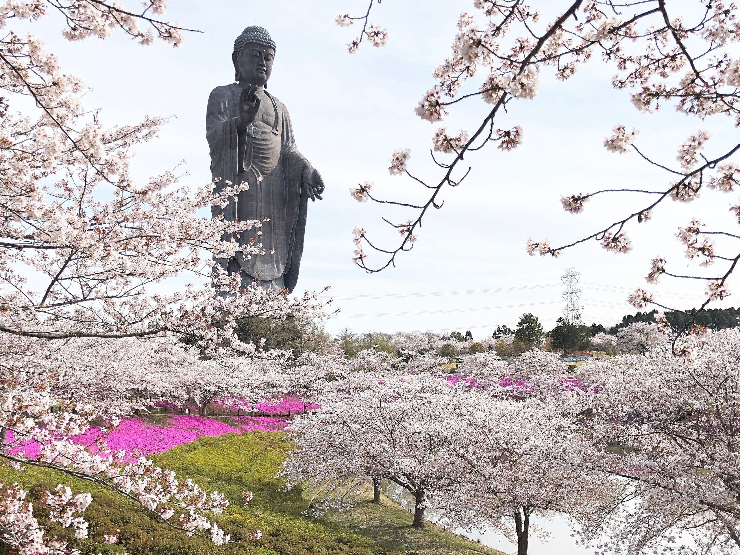 Ushiku Daibutsu