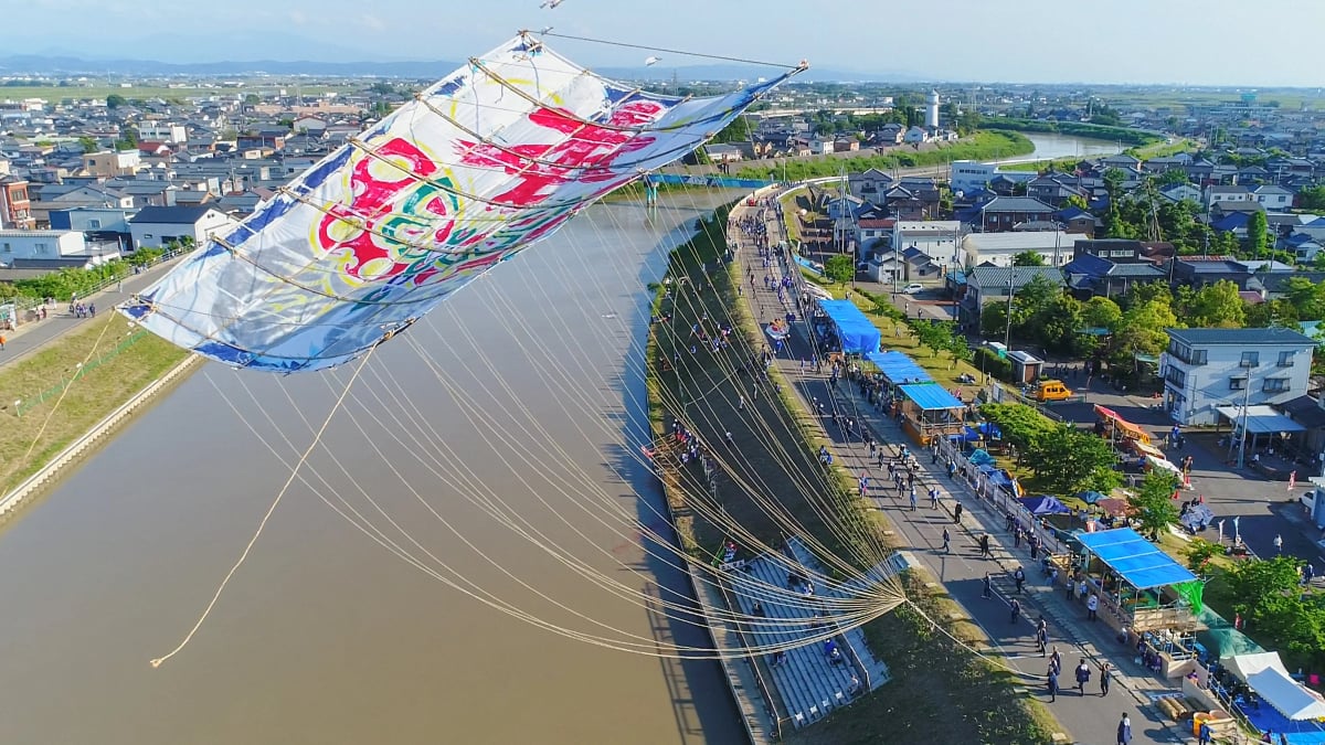 Shirone Giant Kite Battle