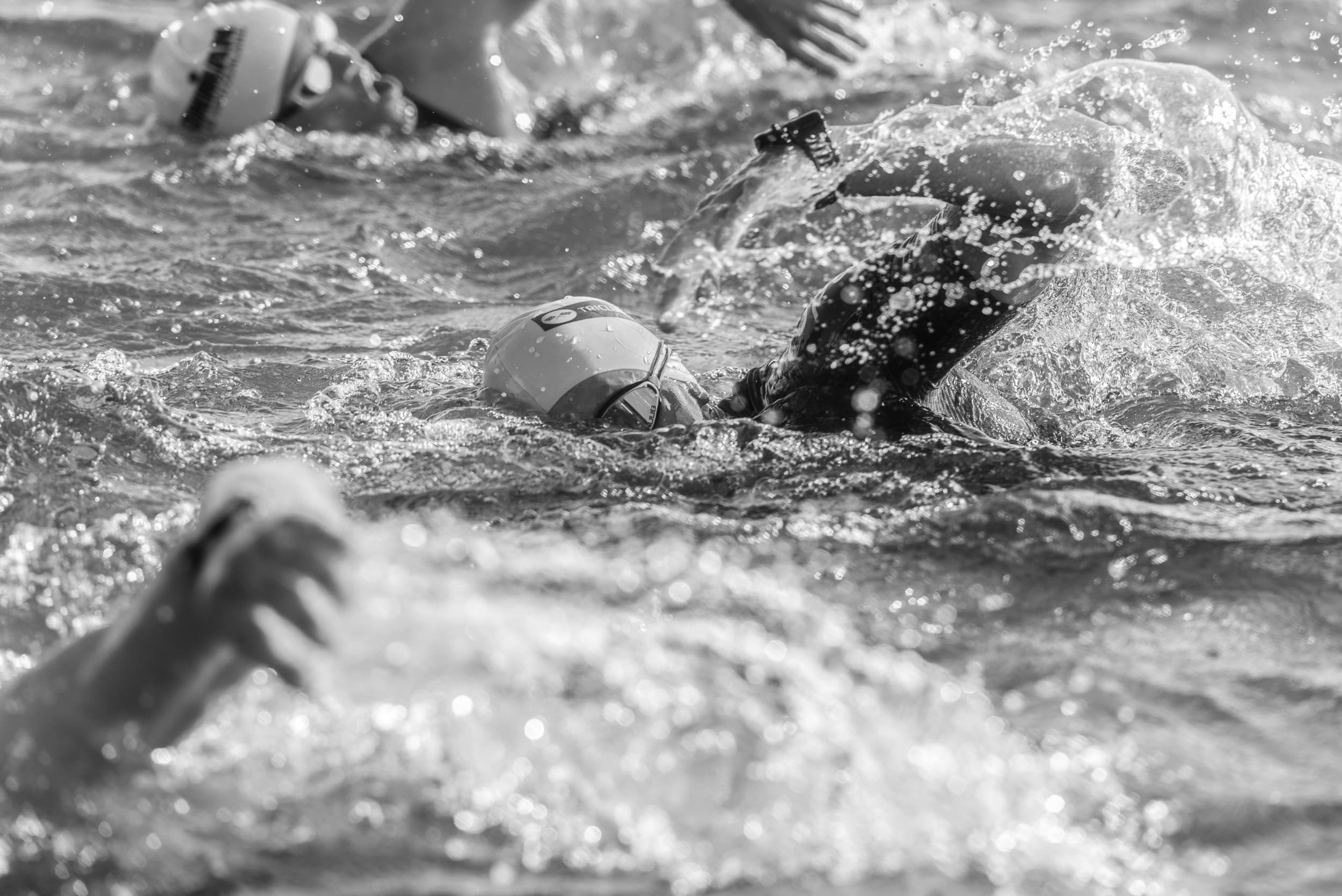 Swimming race - symbolic image