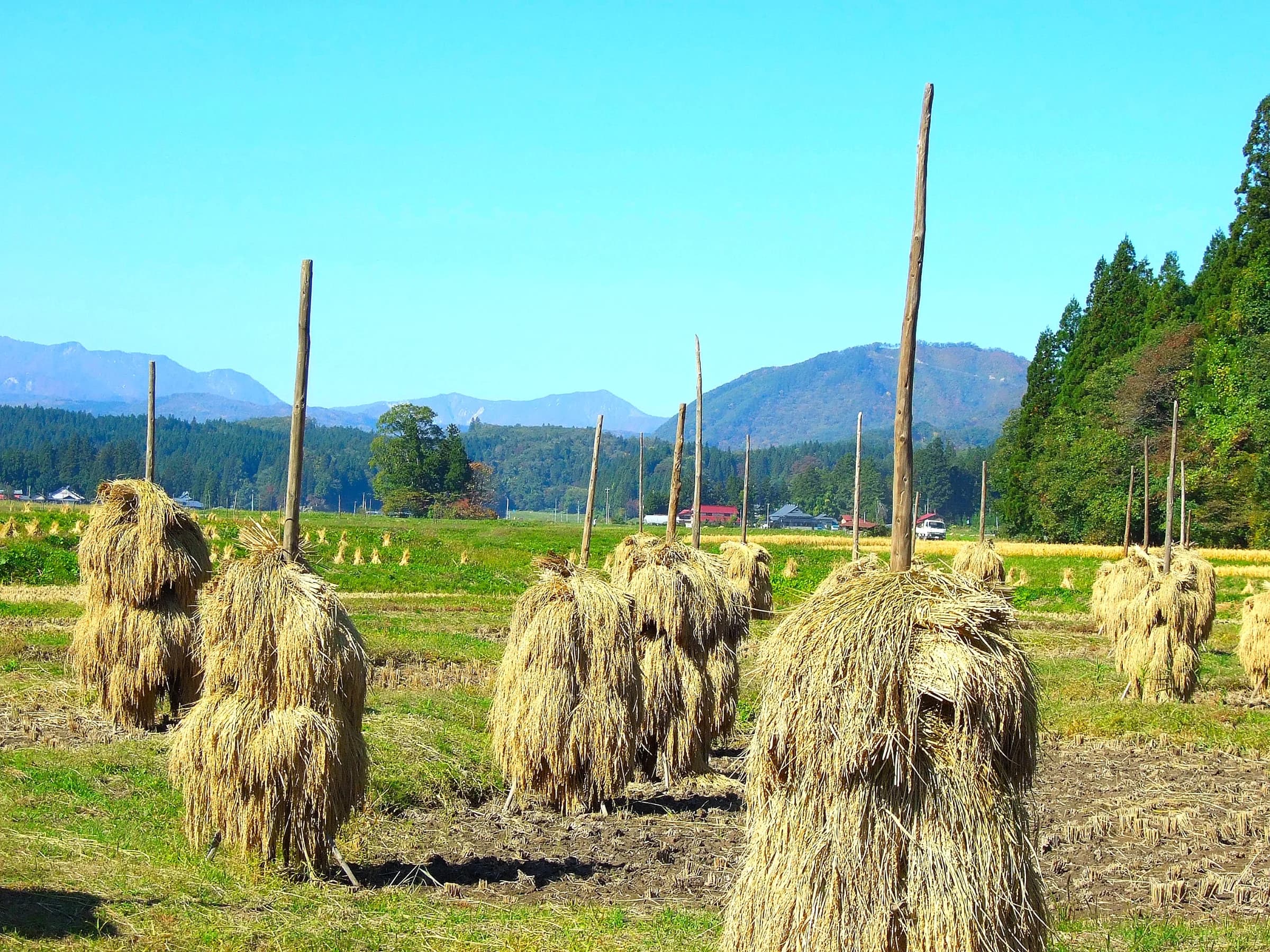 Honedera Village Manor Ruins